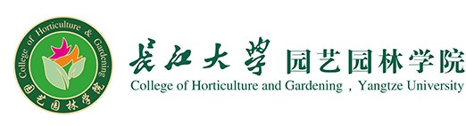 bw必威西汉姆联